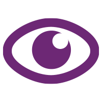 Our Vision Icon